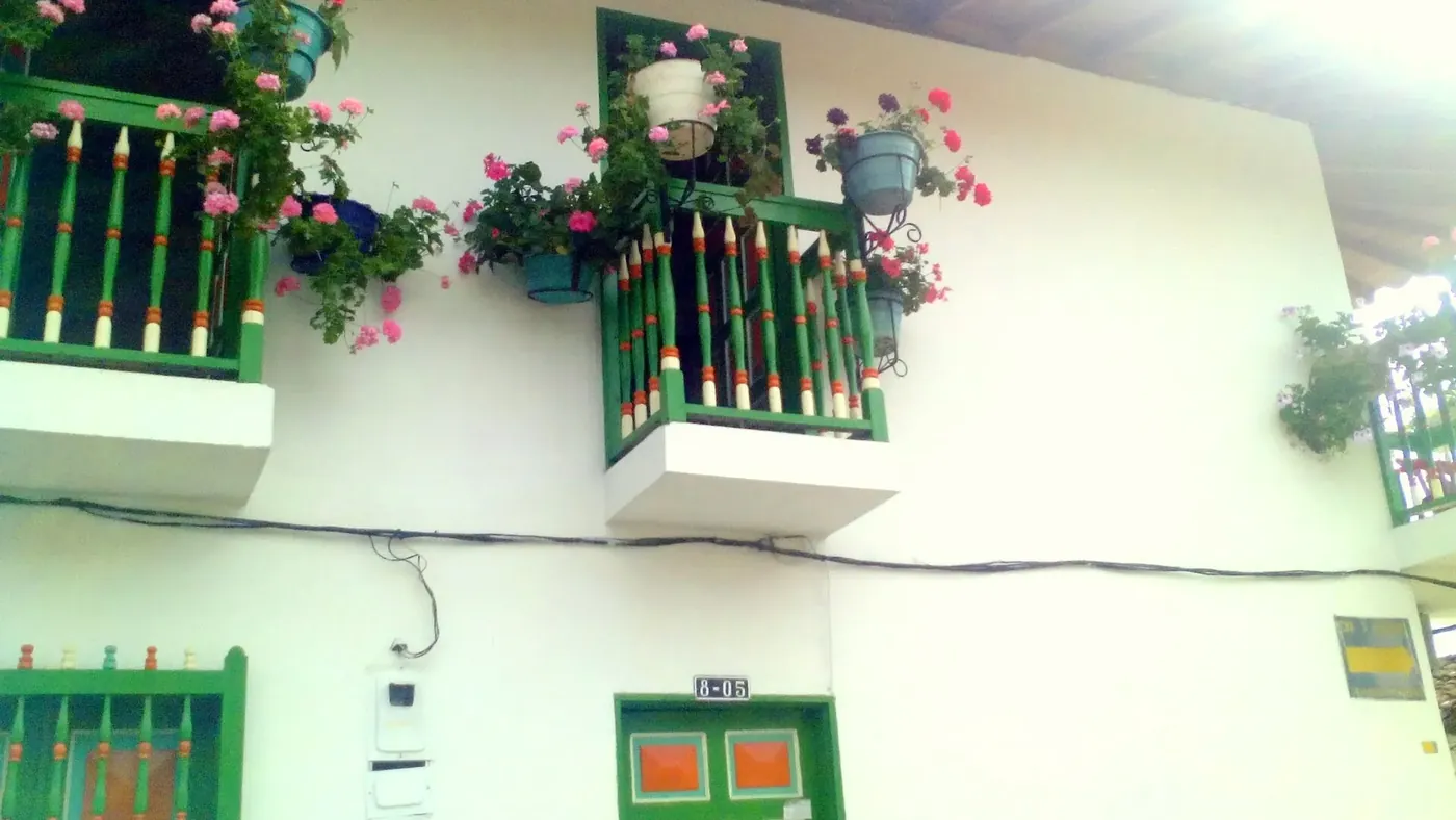 Balcones con macetas de flores en una fachada de Jardín