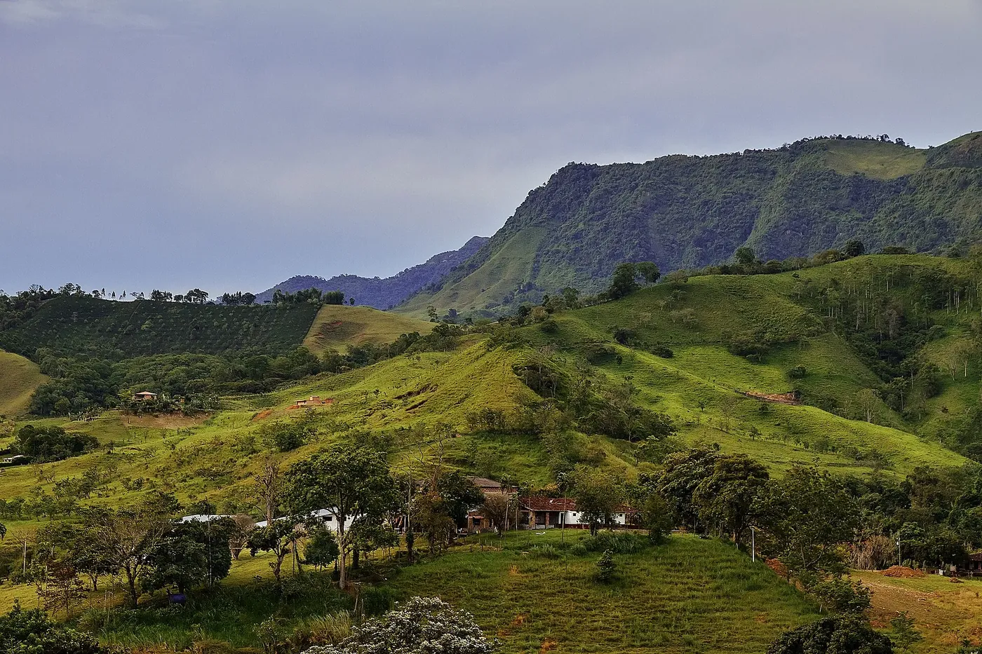 Valle verde con potreros y bosque en las afueras de Jardín
